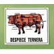 cartel despiece ternera