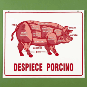 cartel despiece porcino